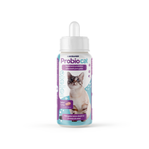 ProbioCat - Probióticos para tu gatito